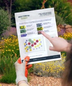 Summer Showstopper Pre-Planned Garden -Outdoor Garden Care Shop hcg ppg map sample 21