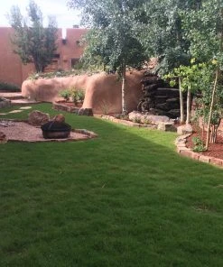 Dog Tuff™ Grass Plugs -Outdoor Garden Care Shop lucid landscapes dog tuff grass