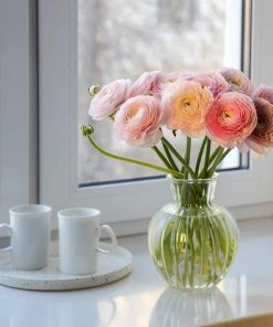 Pastel Ranunculus Mix -Outdoor Garden Care Shop pastel ranunculus mix pastel persian buttercup mix window still vase