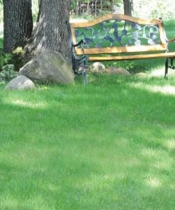 No Mow Lawn Grass Seed -Outdoor Garden Care Shop s0035 no mow1 3