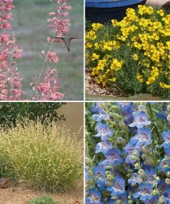 High Country Gardens Signature Collection